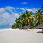 Zanzibar beach coast